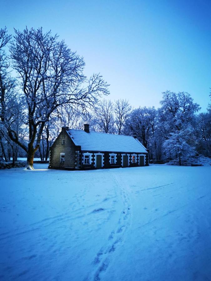 Vanatoa Taluhotell Koguva Buitenkant foto