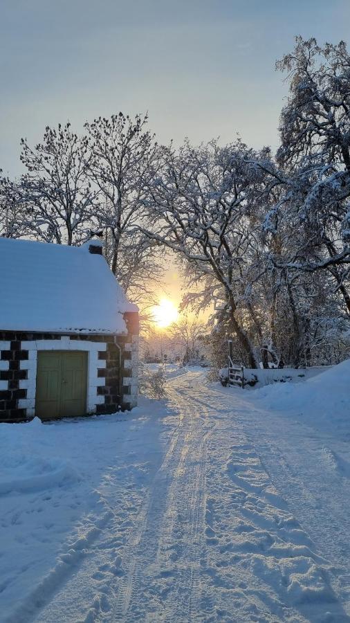 Vanatoa Taluhotell Koguva Buitenkant foto