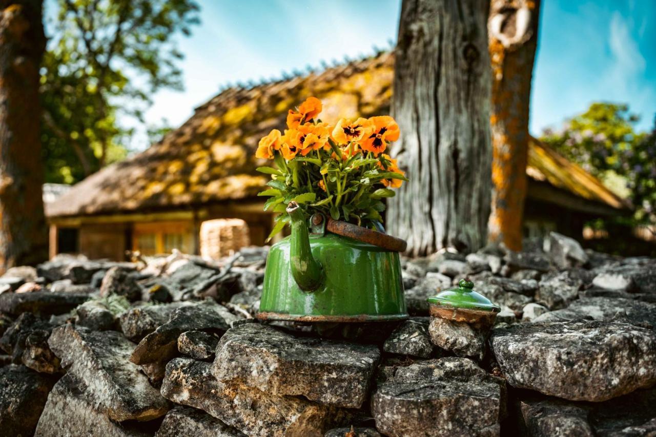 Vanatoa Taluhotell Koguva Buitenkant foto