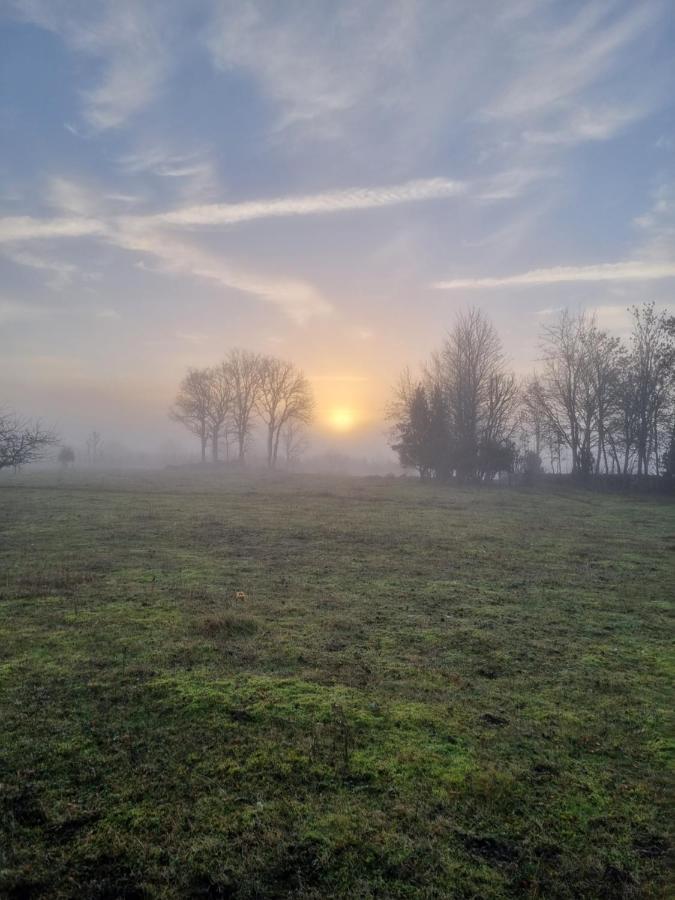 Vanatoa Taluhotell Koguva Buitenkant foto